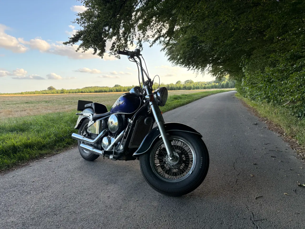 Billede 2 - Kawasaki VN800 Classic
