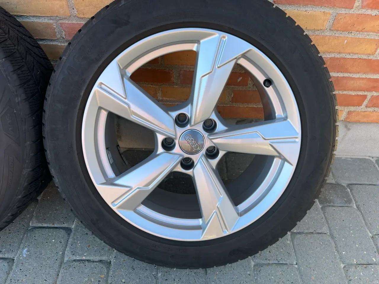 Billede 2 - Audi fælde