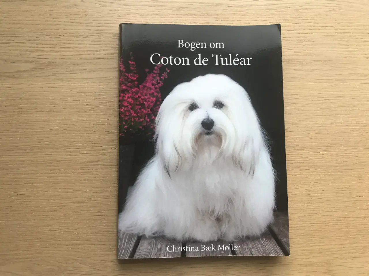 Billede 1 - Bogen om Coton de Tuléar