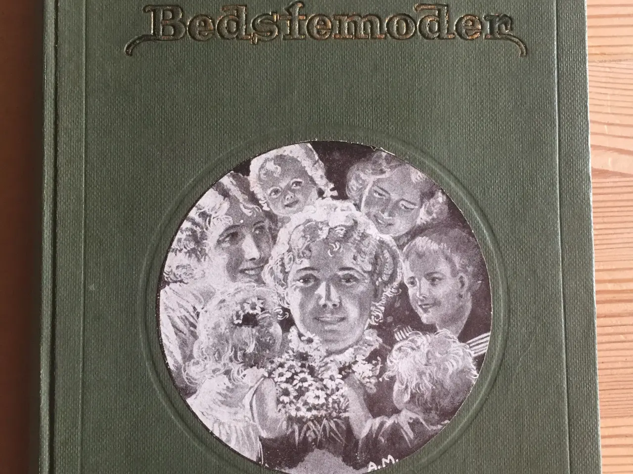 Billede 1 - Vildkat som Bedstemoder