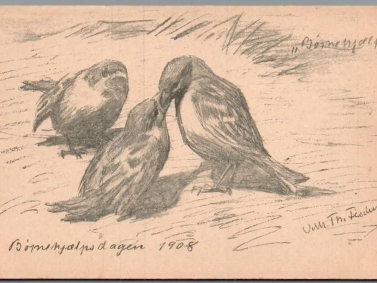 Billede 1 - Børnehjælpsdagen 1908 - Ubrugt