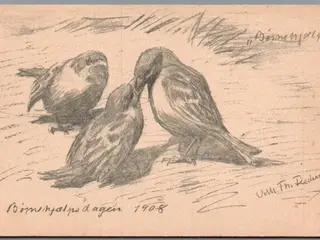 Børnehjælpsdagen 1908 - Ubrugt