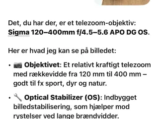 telezoom - objektiv