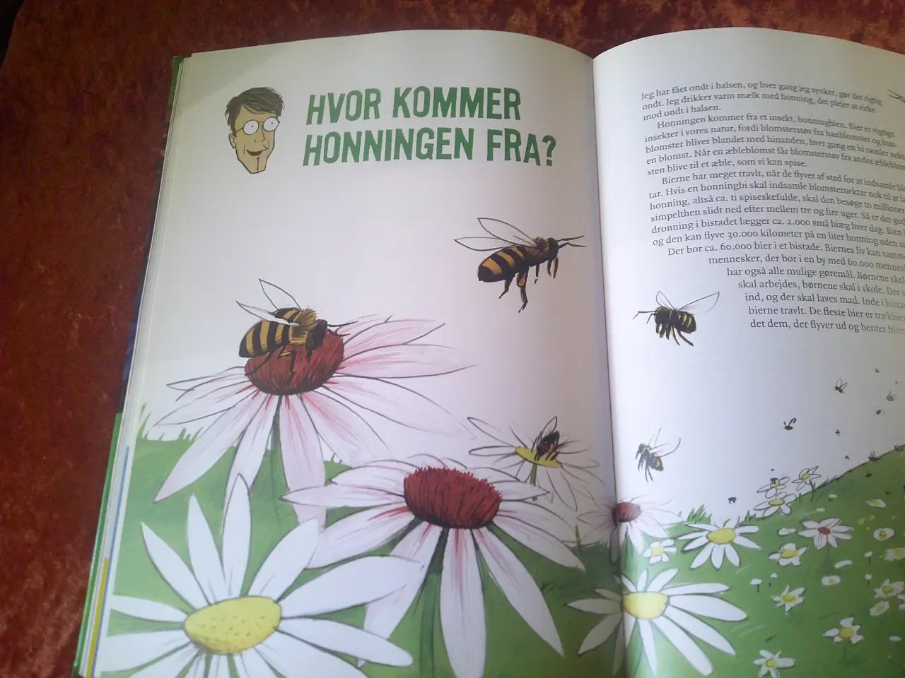 Billede 3 - Hvad?, hvordan?, hvorfor?,