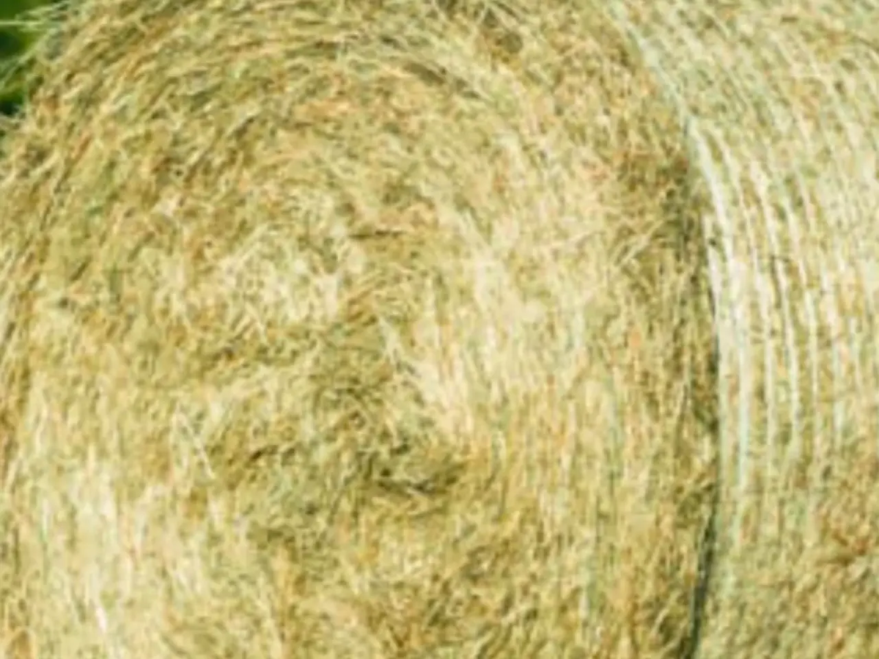 Billede 5 - Wrap - hø - halm