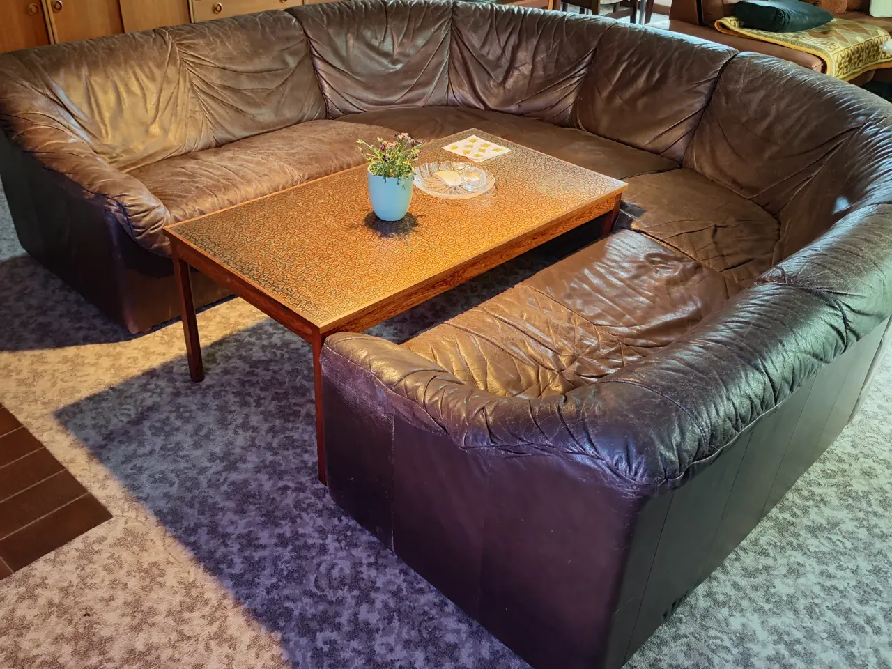 Billede 3 - U-lædersofa "Shar Pei" - design.