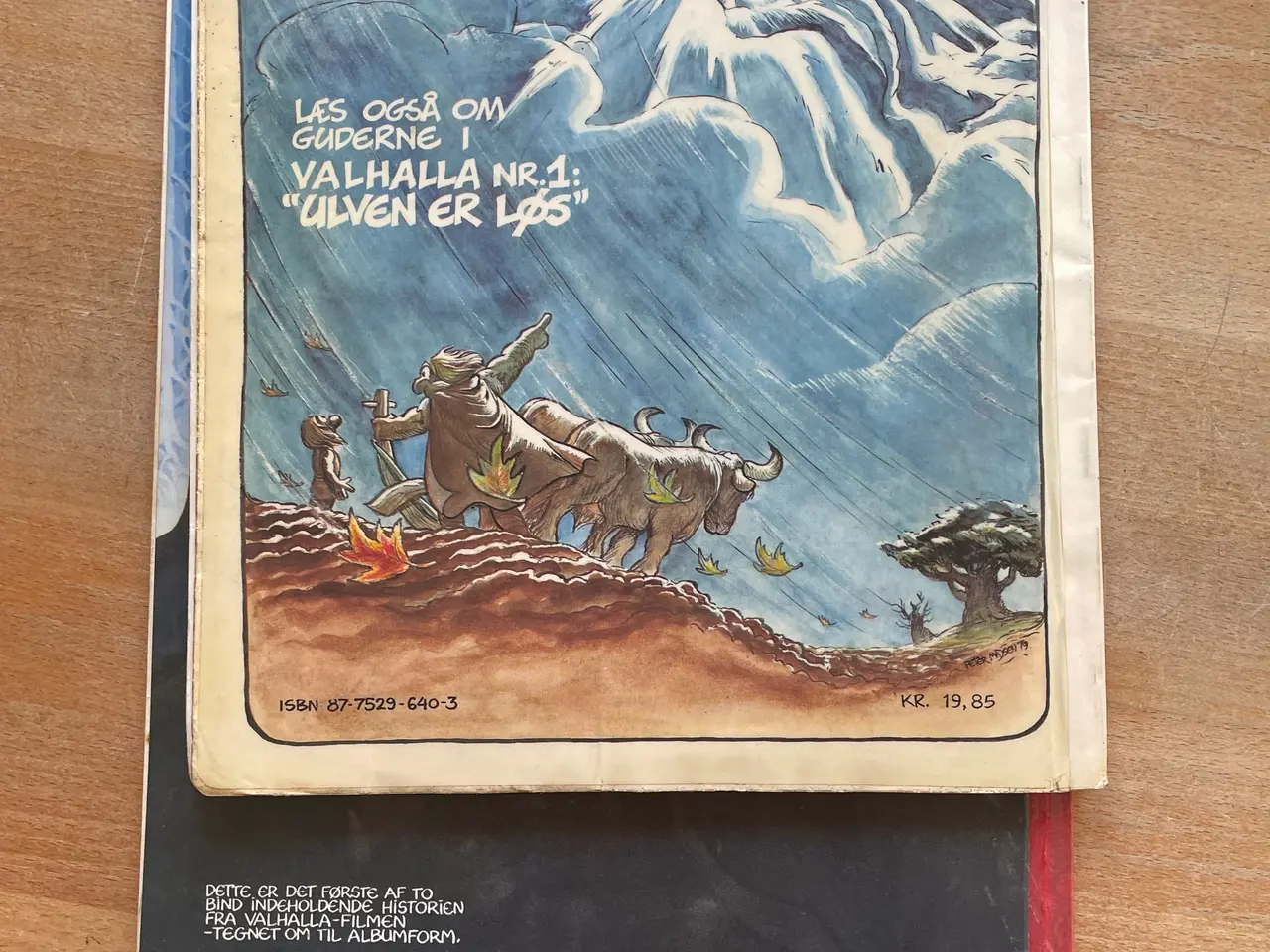 Billede 2 - Valhalla se tekst