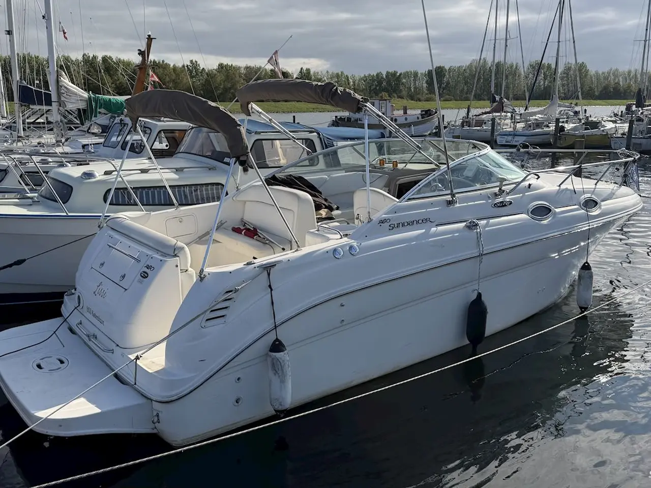 Billede 4 - Sea Ray Sundancer 260
