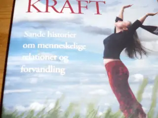 Auriela McCarthy. DET MULIGES KRAFT.