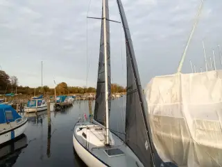 Carbon Sejl safir 10m