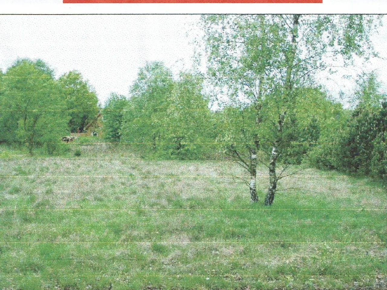 Billede 1 - sommerhus grund i Vesterlund ved give