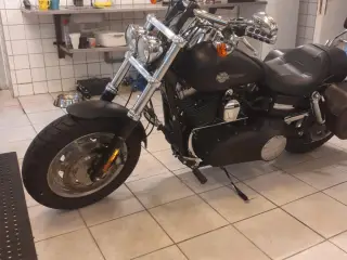 Harley davidson Fat Bob