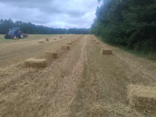 Økologisk halm 2026