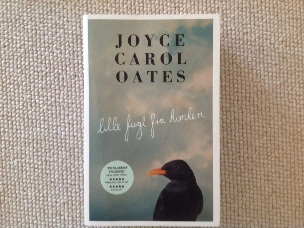 Billede 1 - Lille fugl på himlen" af Joyce C. Oates