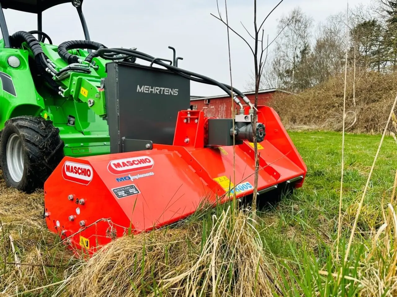 Billede 1 - Maschio Birba 115