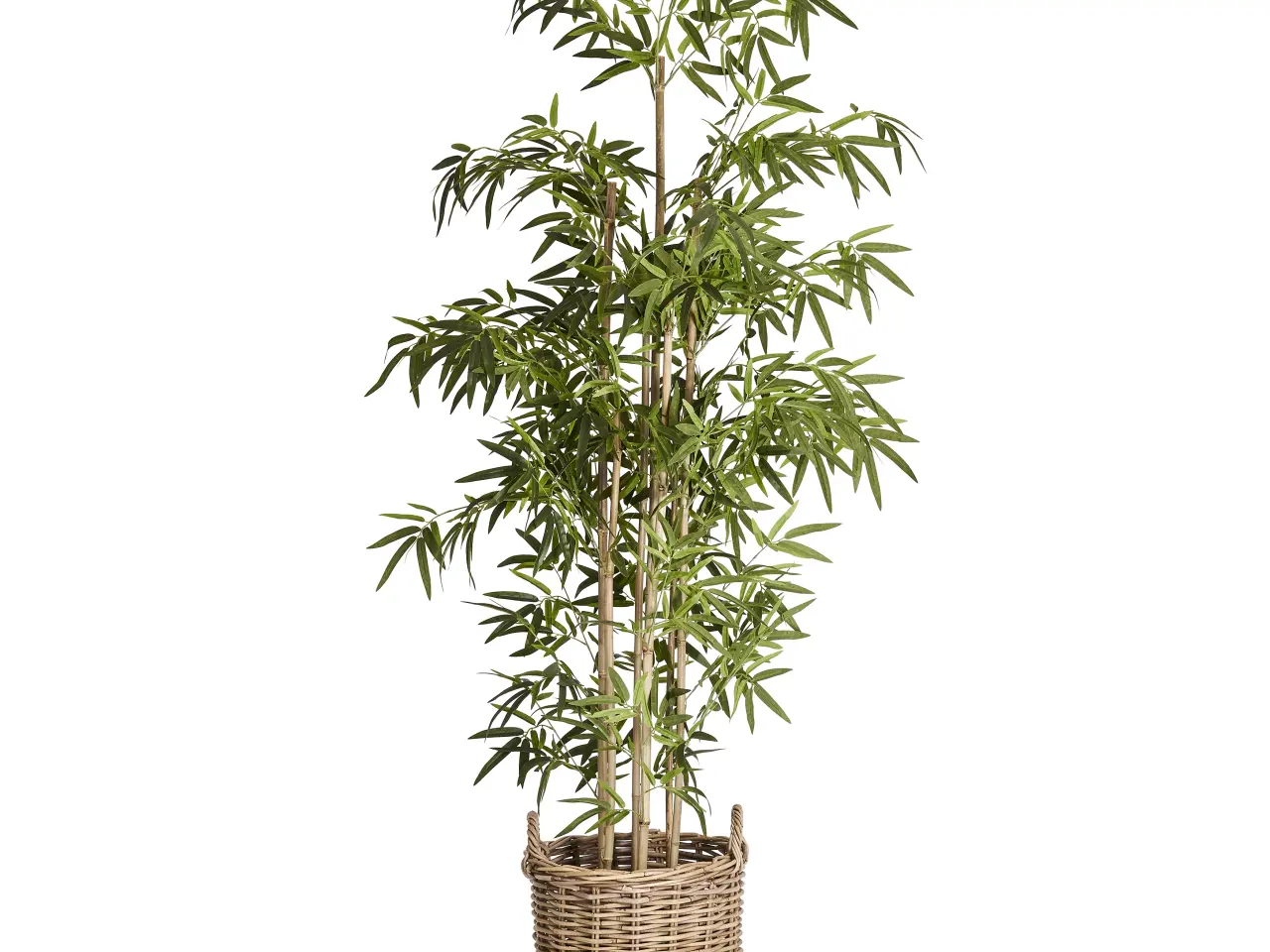 Billede 1 - Kunstig plante Bambus træ 190 cm. 