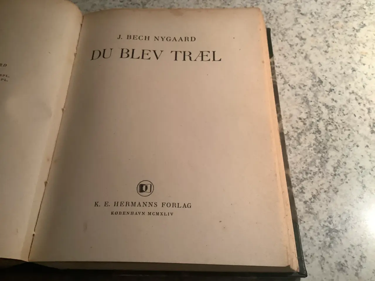 Billede 6 - Jacob Bech Nygaard “Guds blinde øje” “Du blev træl