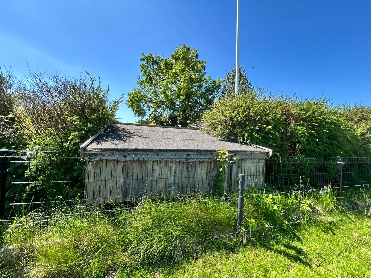 Billede 3 - Shelter tilsalg