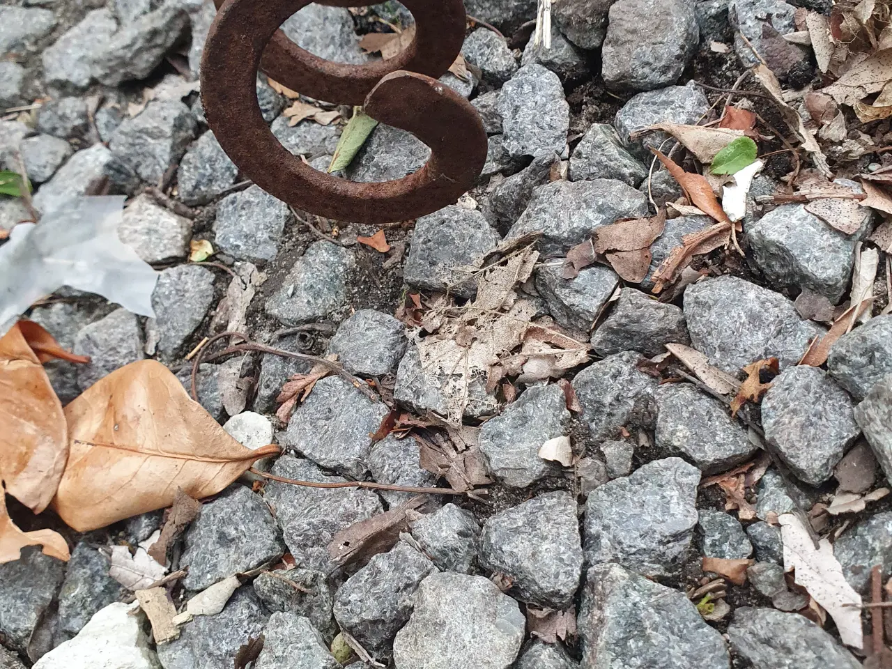 Billede 2 - Spiral 