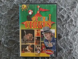 Dyrene i Cirkus Sebastian Klein