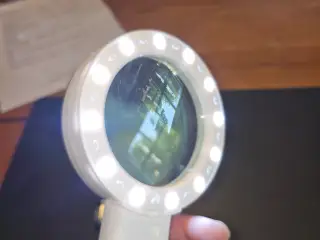 PROFESSIONEL