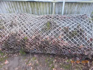 hegn