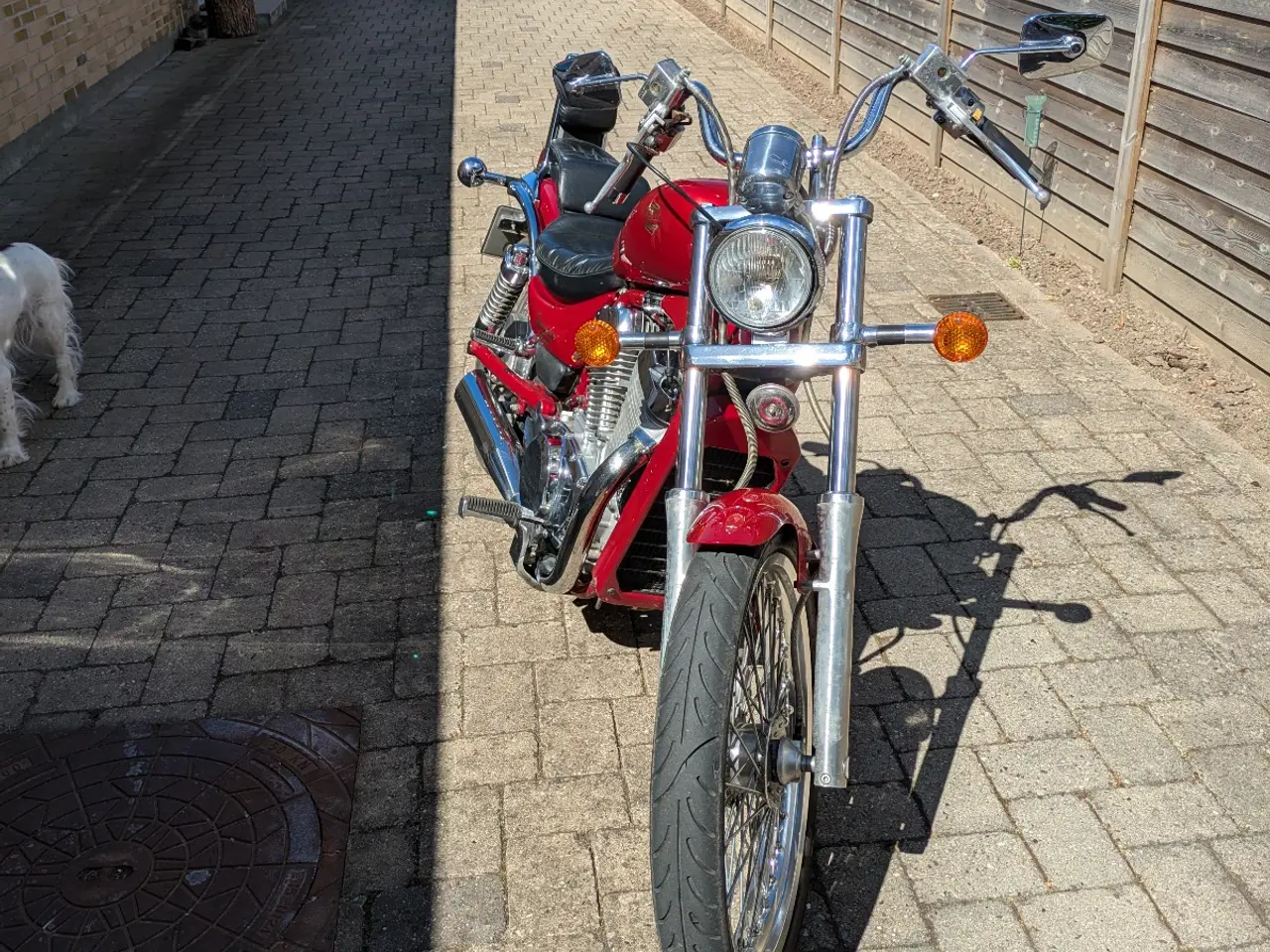 Billede 2 - SUZUKI VS 800 INTRUDER