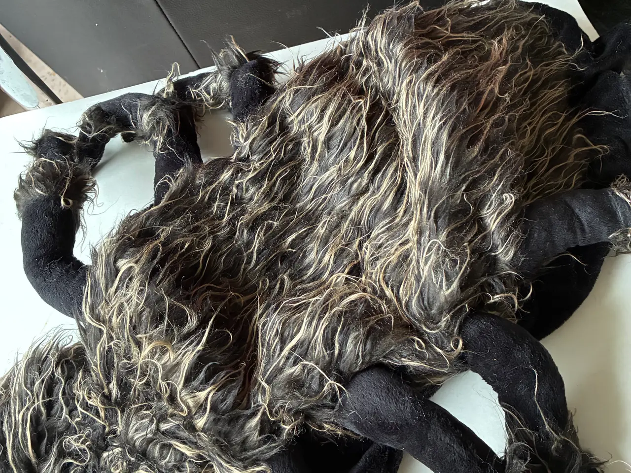 Billede 4 - Hundekostume til halloween