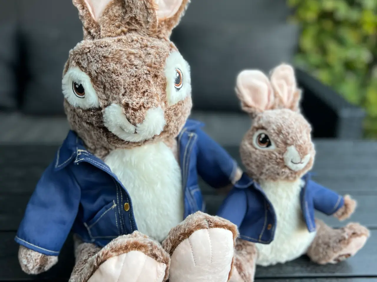 Billede 1 - Peter Rabbit DanDee bamser sæt