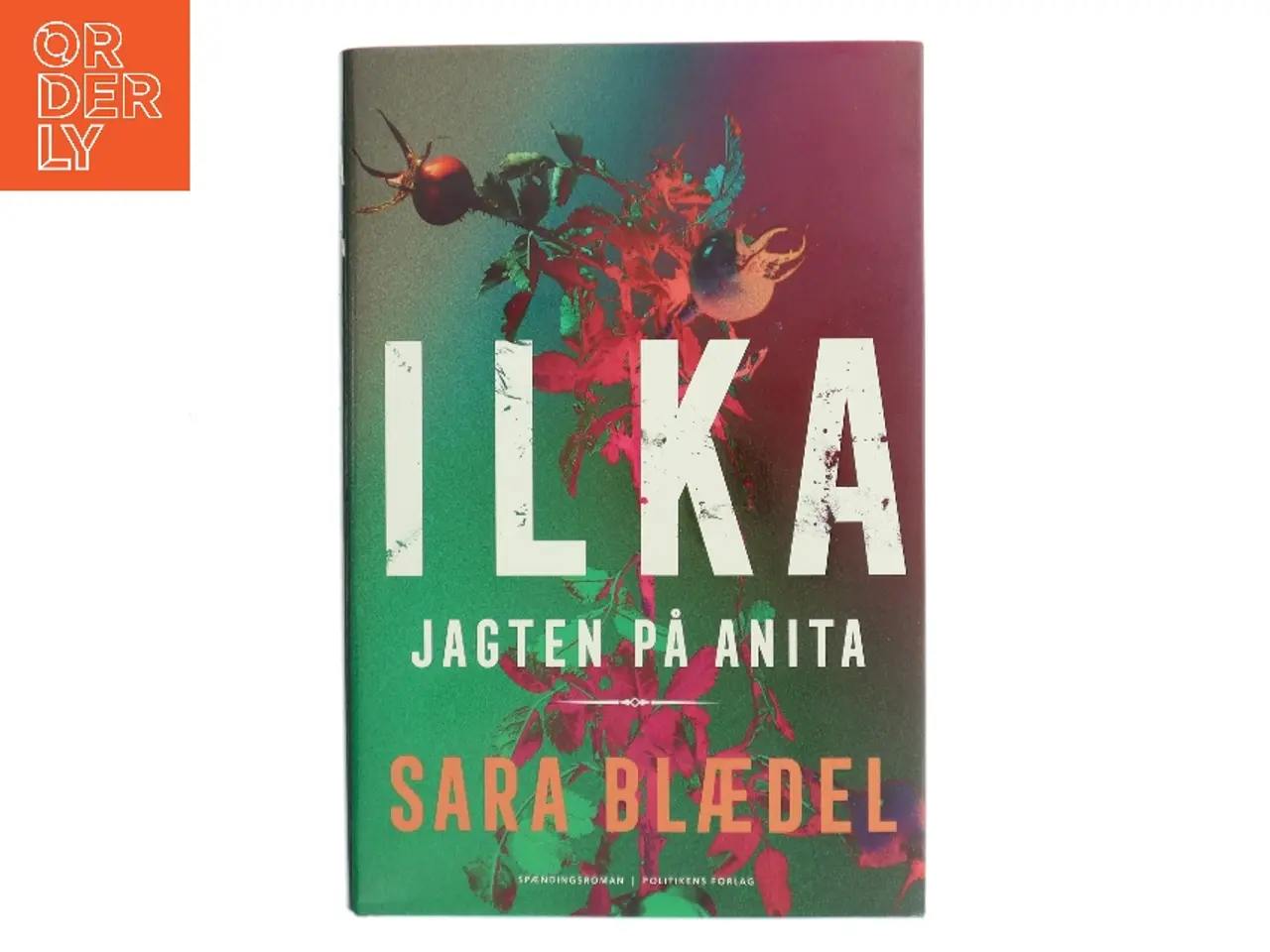 Billede 1 - Jagten på Anita : spændingsroman af Sara Blædel (Bog)