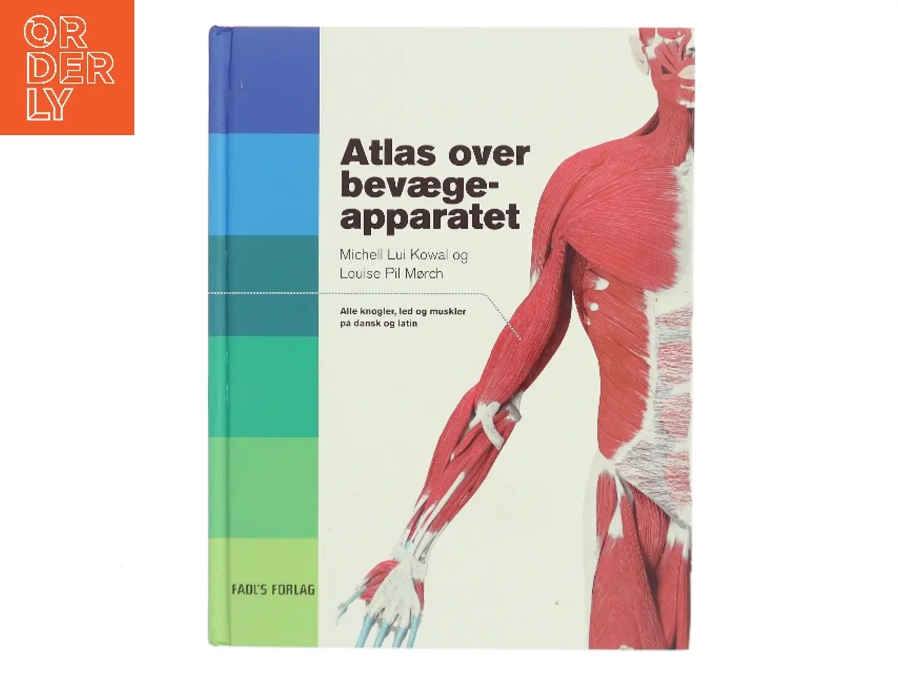 Billede 1 - Atlas over bevægeapparatet af Michell Lui Kowal (Bog)