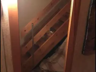 Spejl