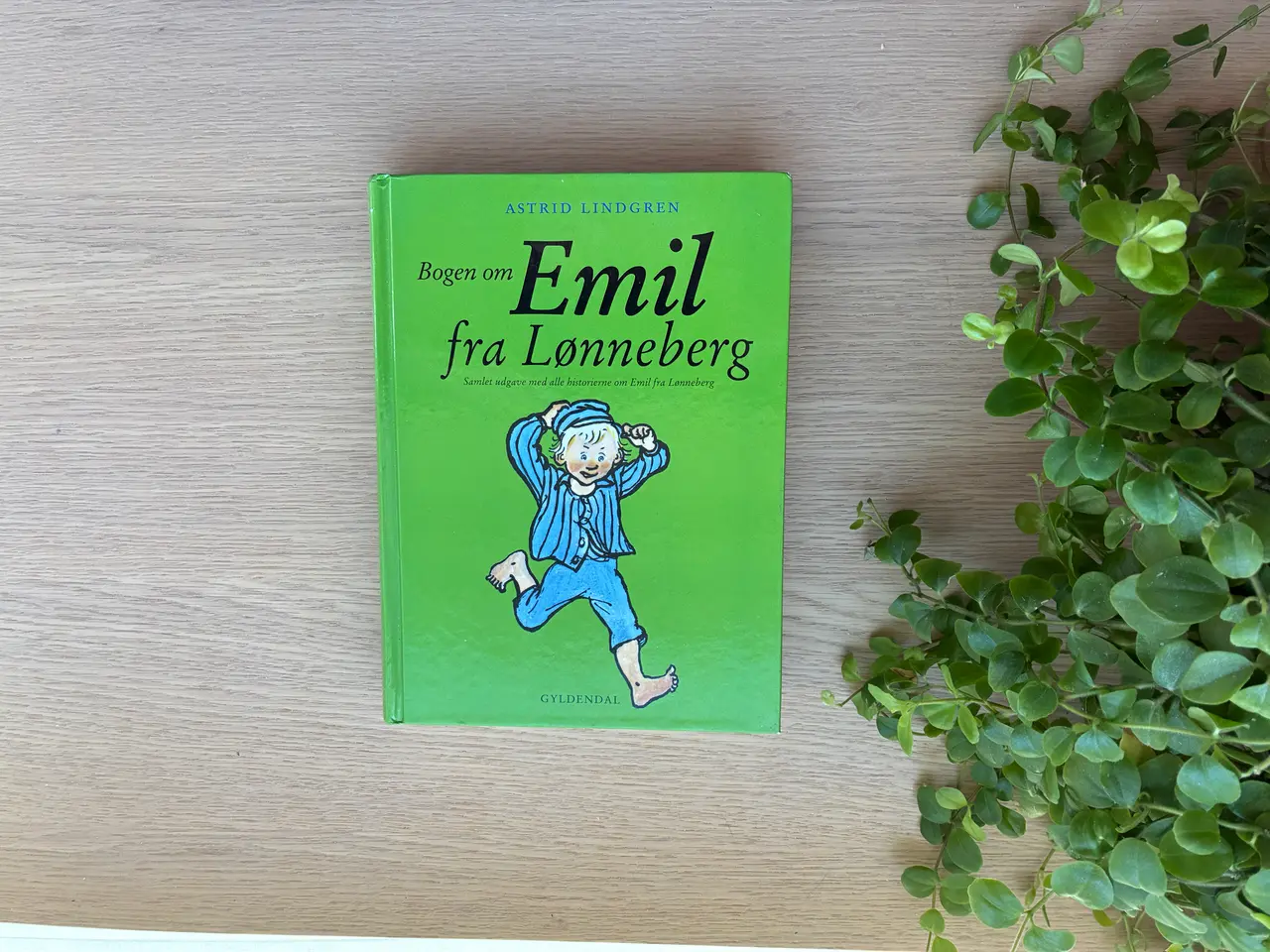 Billede 1 - Bogen om Emil fra Lønneberg