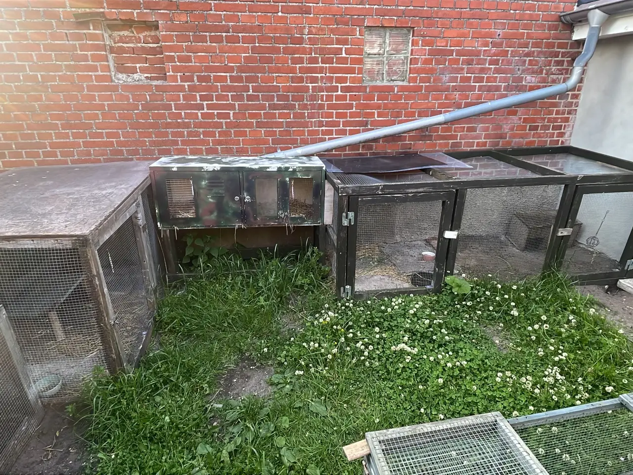 Billede 1 - Stort kaninbur udendørs