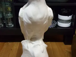 ørn