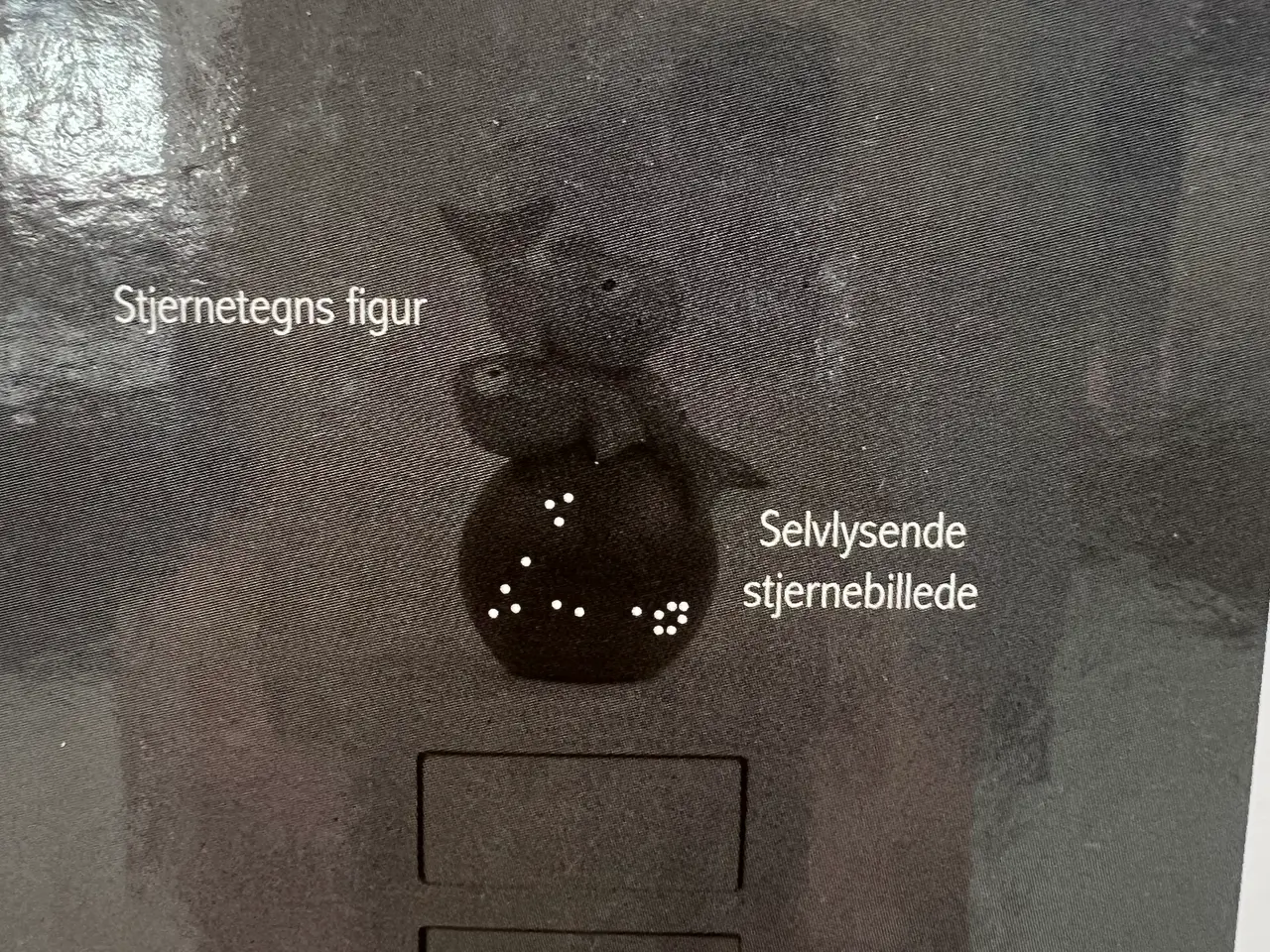 Billede 11 - Stjernetegnet Fisken's lille pyntekasse