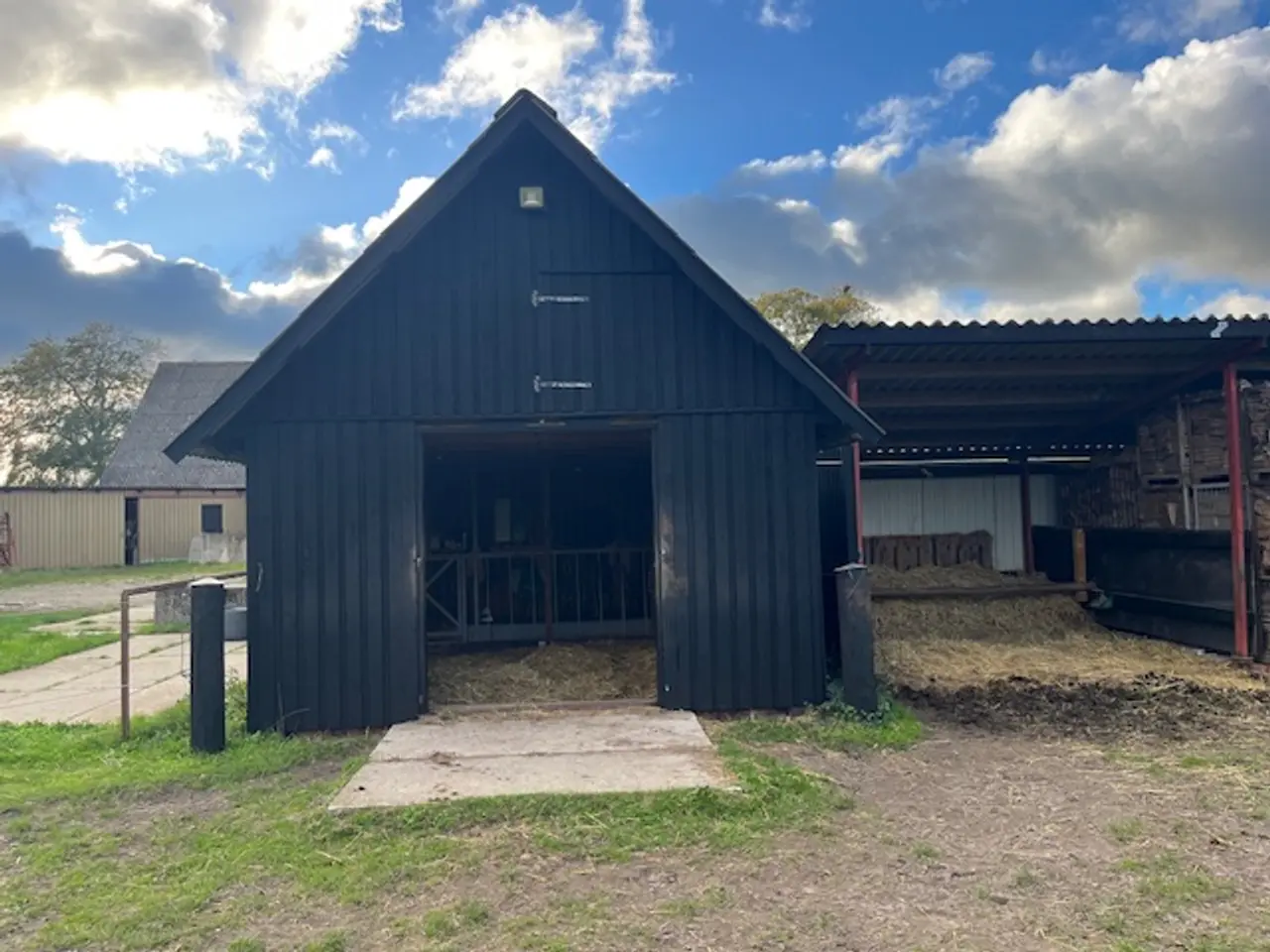 Billede 5 - Løsdrift til islandske heste tilbydes