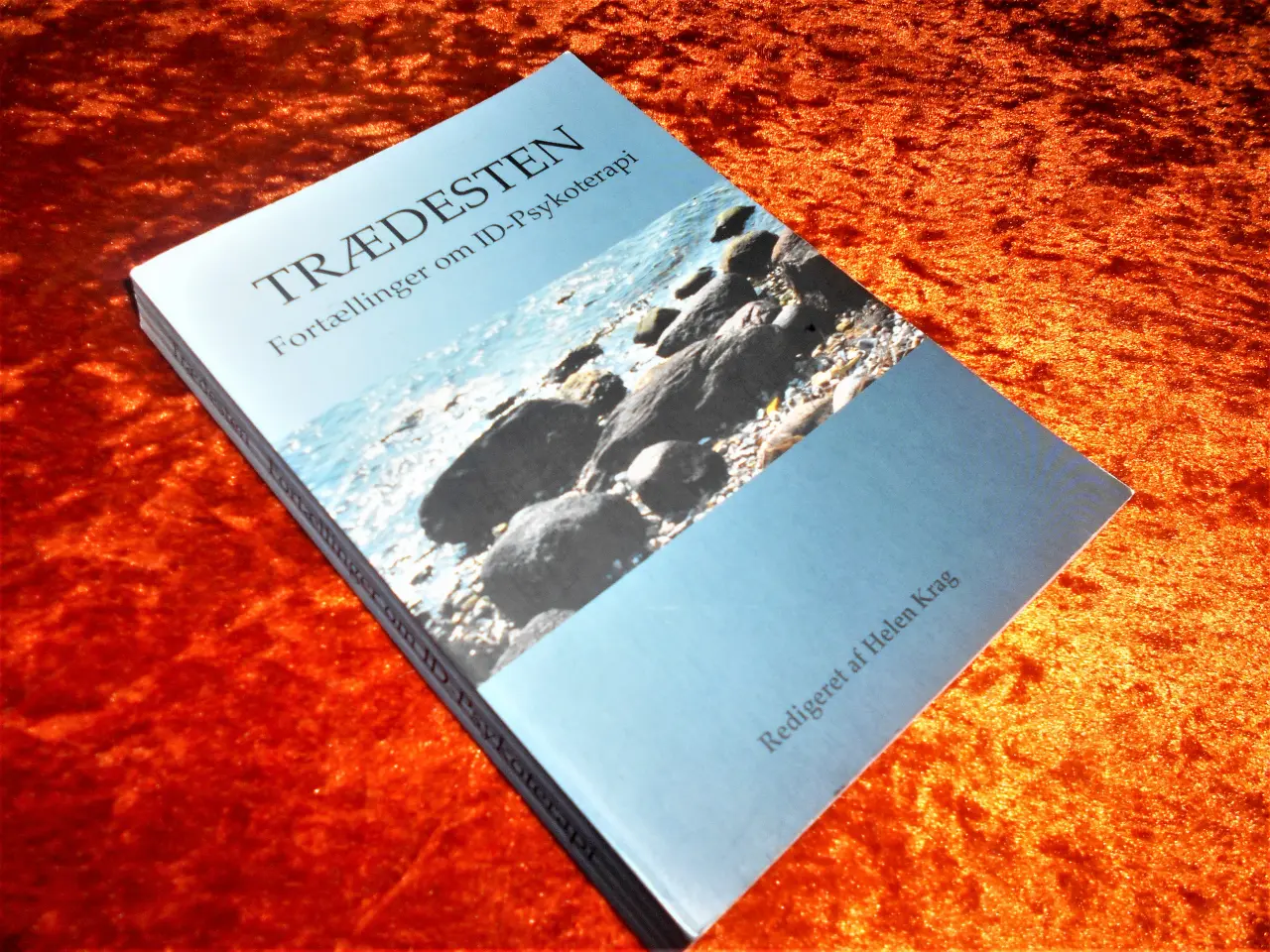 Billede 1 - Trædesten,  Lene Skou Jensen, Helen Krag m.fl