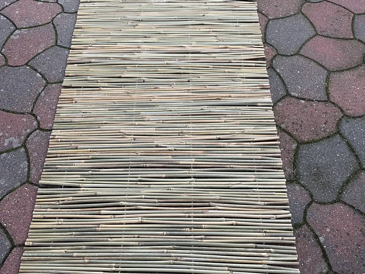 Billede 3 - Bambushejn 1 x3 m