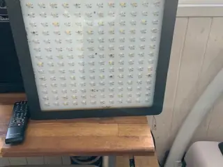 led grolampe