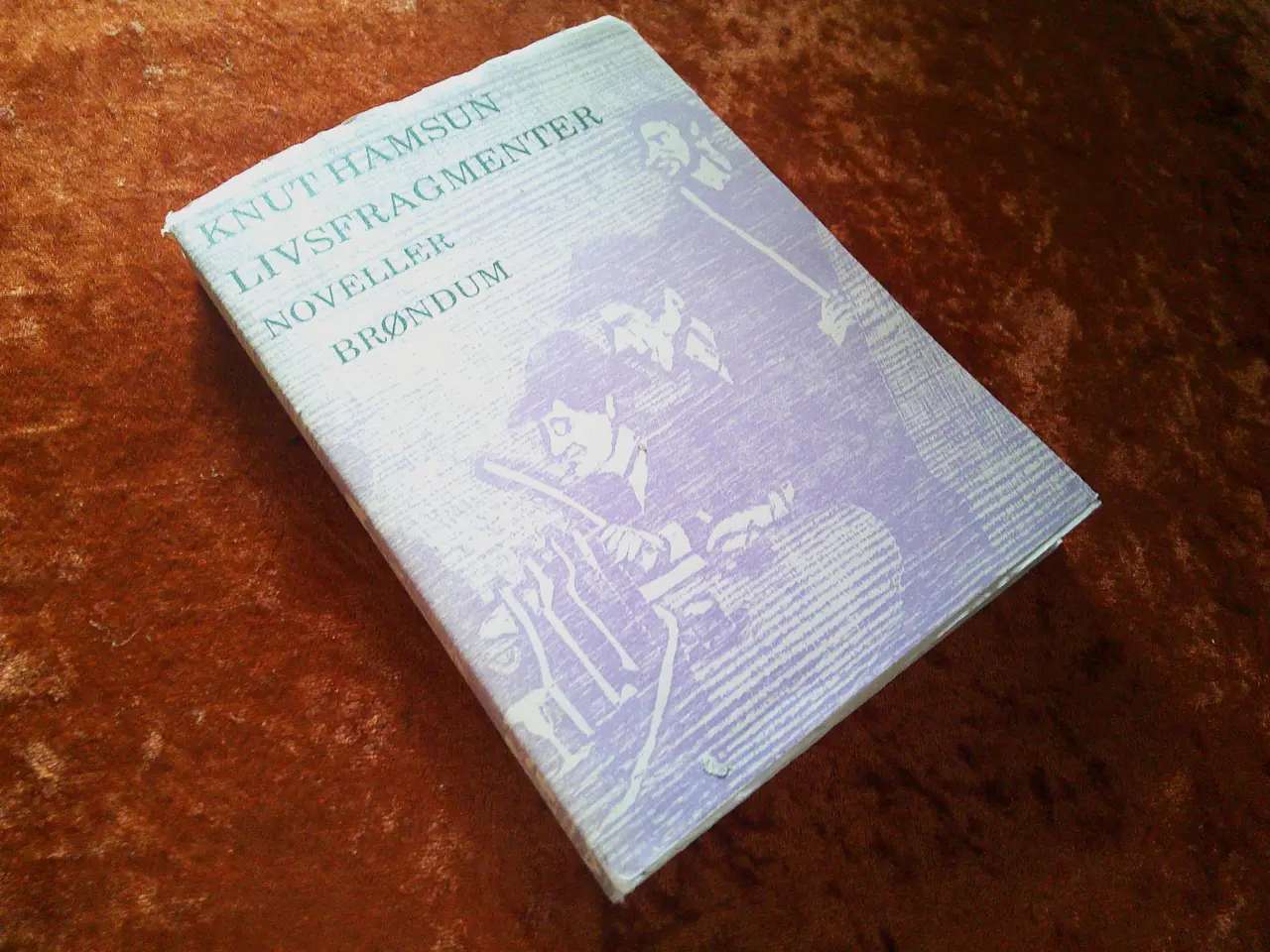 Billede 1 - Livsfragmenter, Knut Hamsun