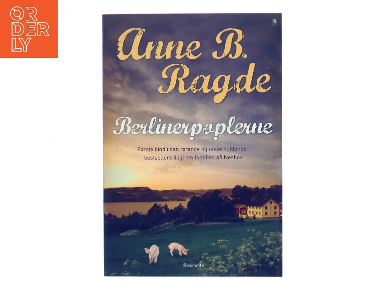 Billede 1 - Berlinerpoplerne : roman af Anne B. Ragde (Bog)