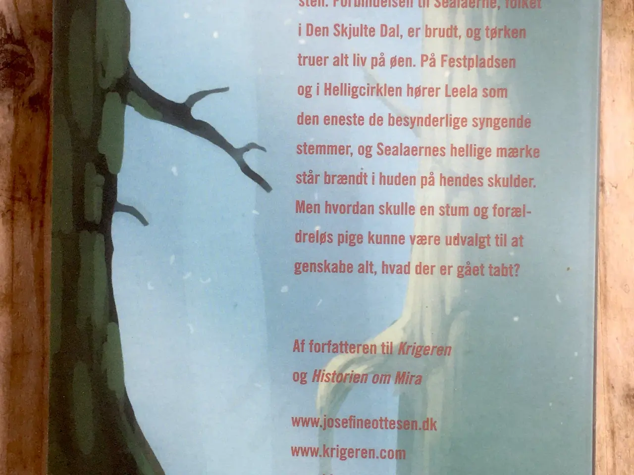 Billede 2 - Regnbuestenen, Josefine Ottesen, genre: fantasy