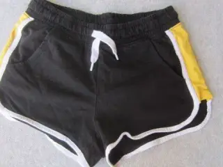 Str. 146, shorts