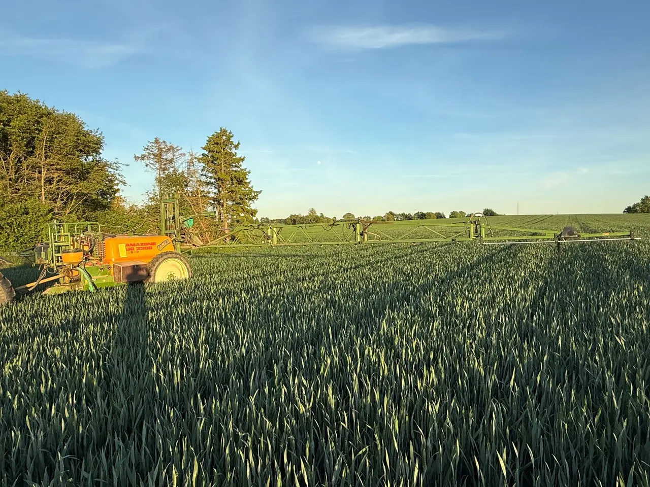 Billede 5 - Trailersprøjte Amazone