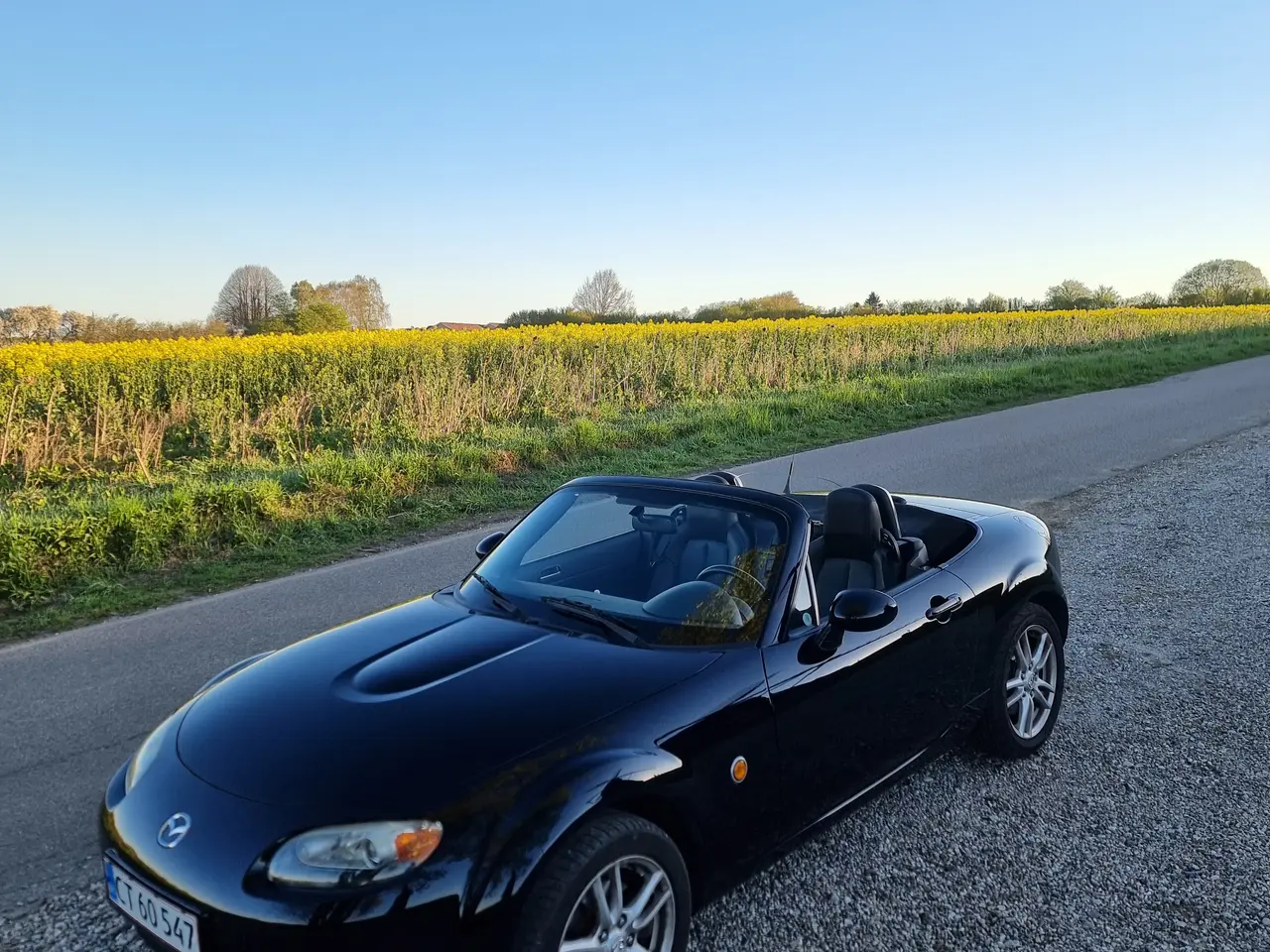 Billede 12 - Mazda MX-5 Roadster 2006