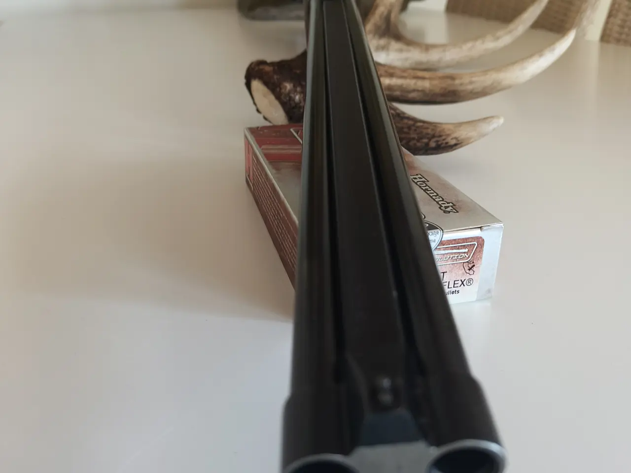 Billede 6 - 45/70 side by side
