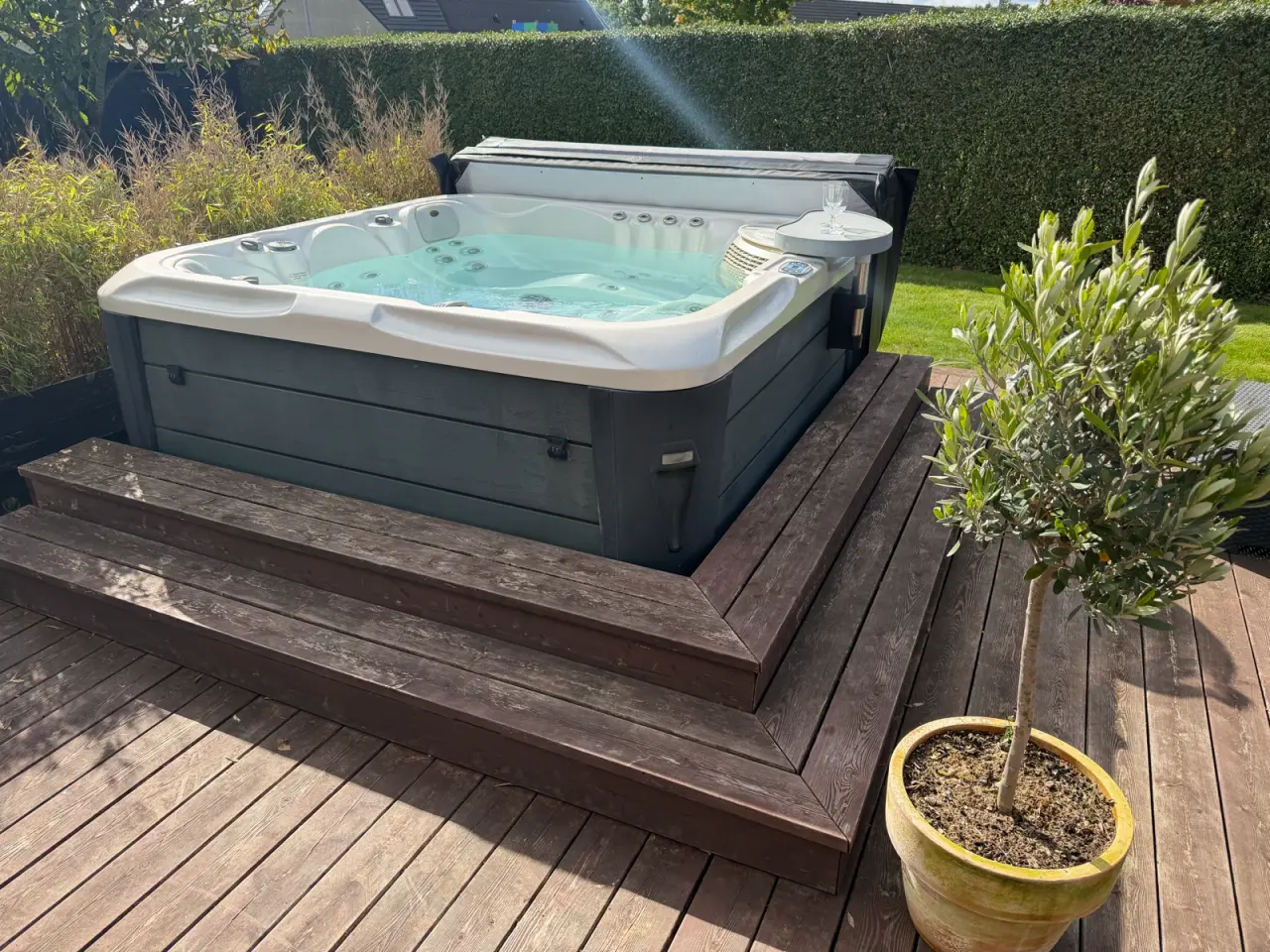 Billede 6 - Flot Spa med tykt cover