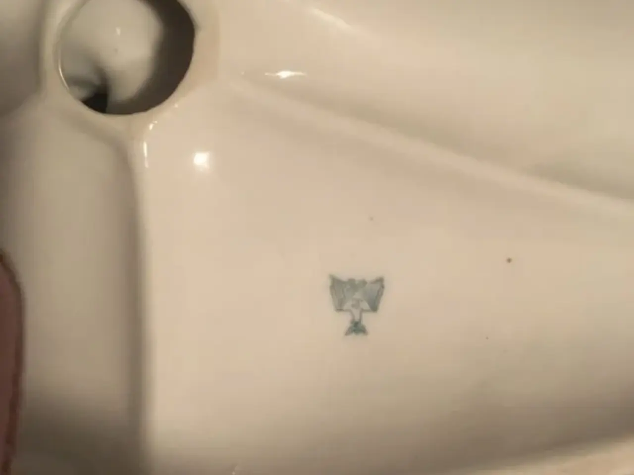 Billede 7 - pige med gæs