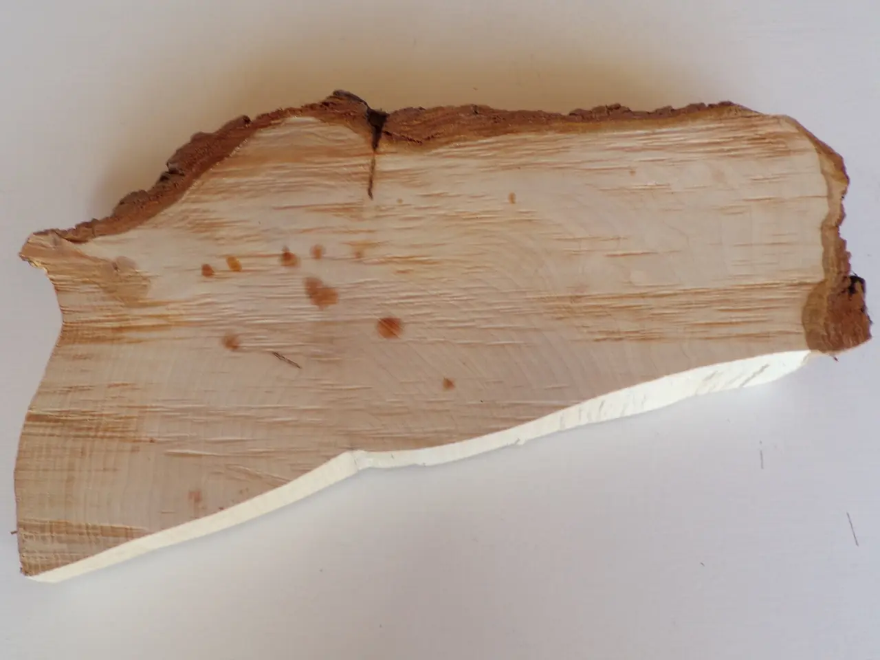 Billede 3 - NY Thuja Træskive 29 cm til kreative projekter